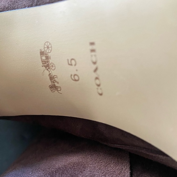 COACH Carter Ankle Boots - Picture 11 of 14